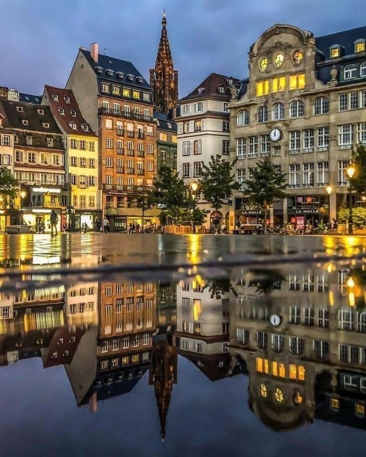 Appart & Studio Hyper Centre De Strasbourg - Proche Cathedrale & Petite France Exteriör bild